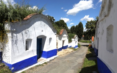 Petrovské Plže