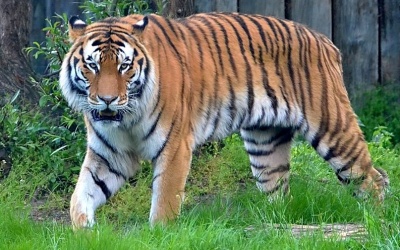 ZOO HodonÍ­n